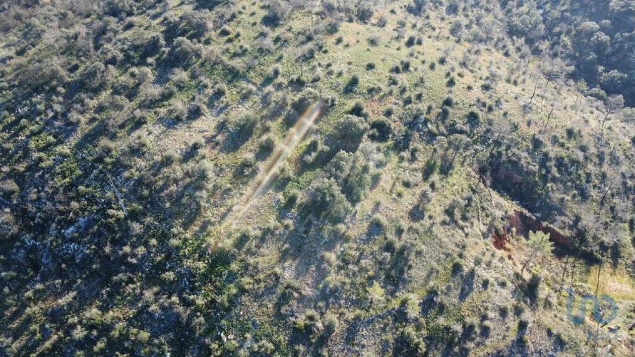 Terreno para Venda em Freixianda, Ribeira do Fárrio e Formigais Foto 11