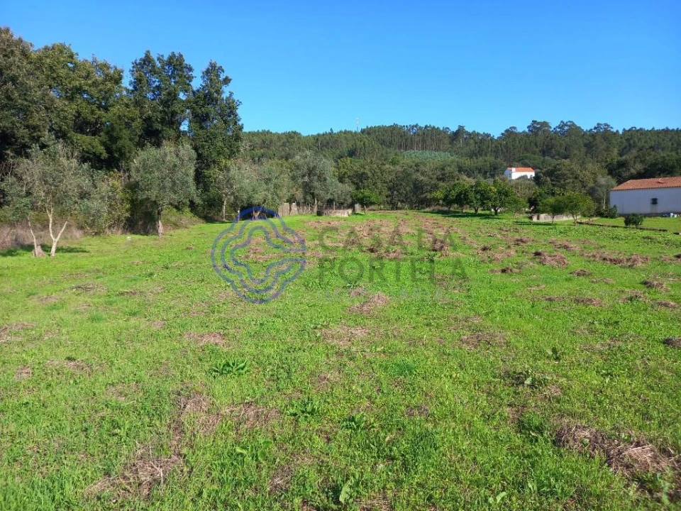 Moradia T3 para Venda em Nossa Senhora do Pranto Foto 31