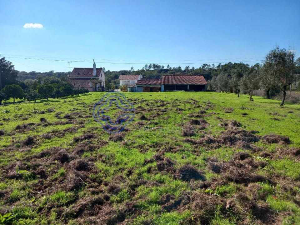 Moradia T3 para Venda em Nossa Senhora do Pranto Foto 32