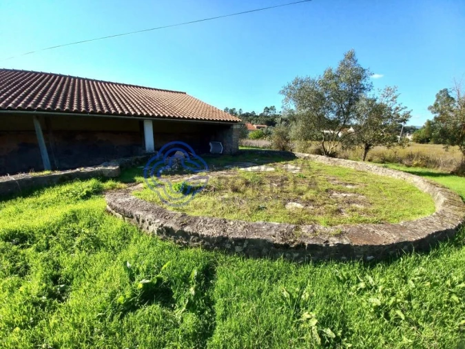 Moradia T3 para Venda em Nossa Senhora do Pranto Foto 25