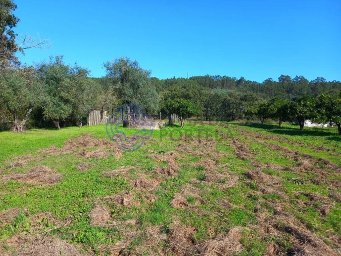 Moradia T3 para Venda em Nossa Senhora do Pranto Foto 28