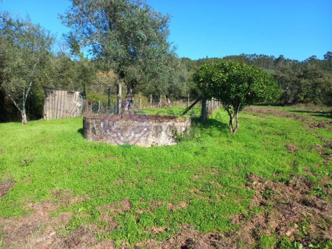 Moradia T3 para Venda em Nossa Senhora do Pranto Foto 29