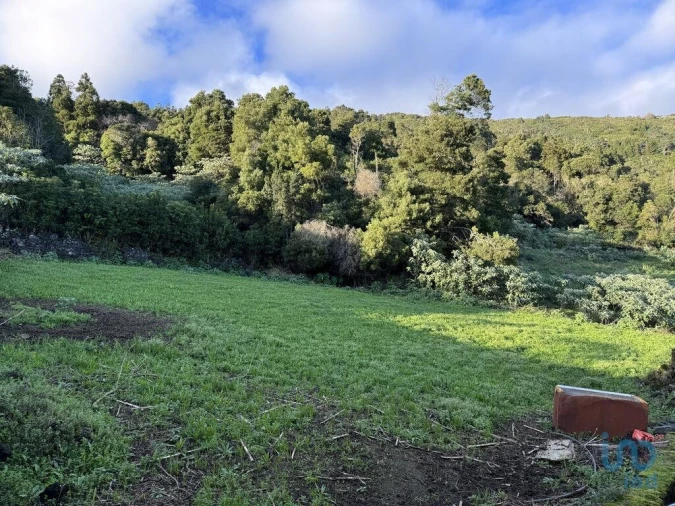 Moradia T4 para Venda em Ribeiras Foto 13