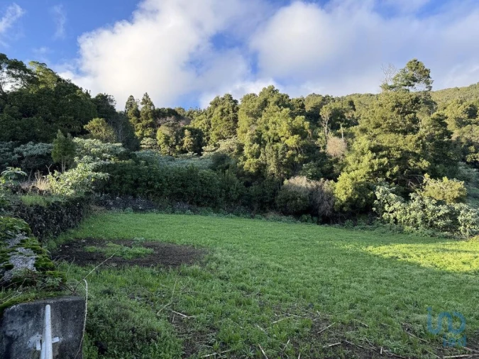 Moradia T4 para Venda em Ribeiras Foto 14