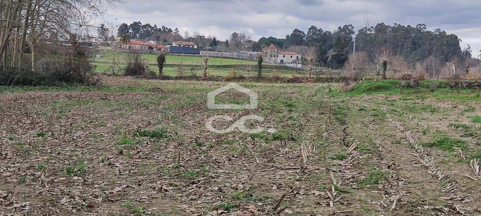 Terreno para Venda em Bustelo Foto 6