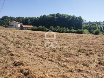 Terreno para Venda em Bustelo