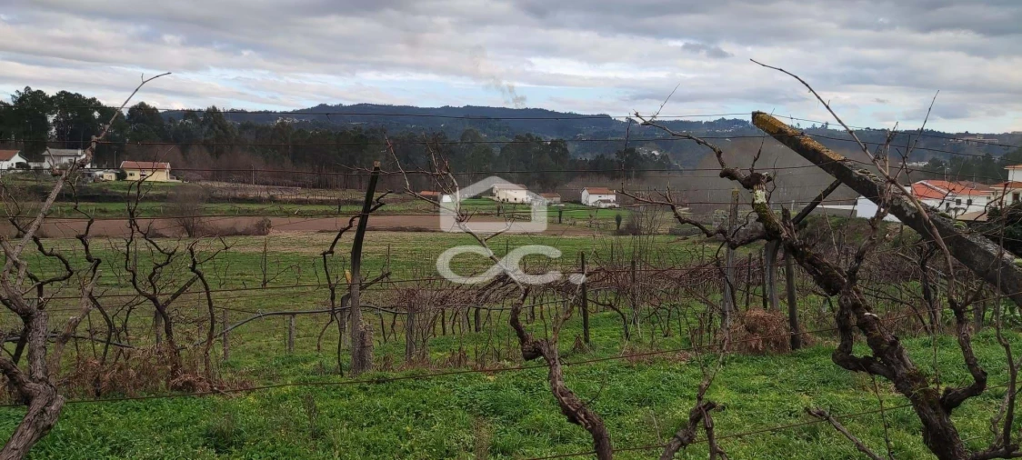 Terreno para Venda em Bustelo Foto 5