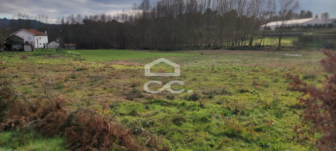 Terreno para Venda em Bustelo Foto 6