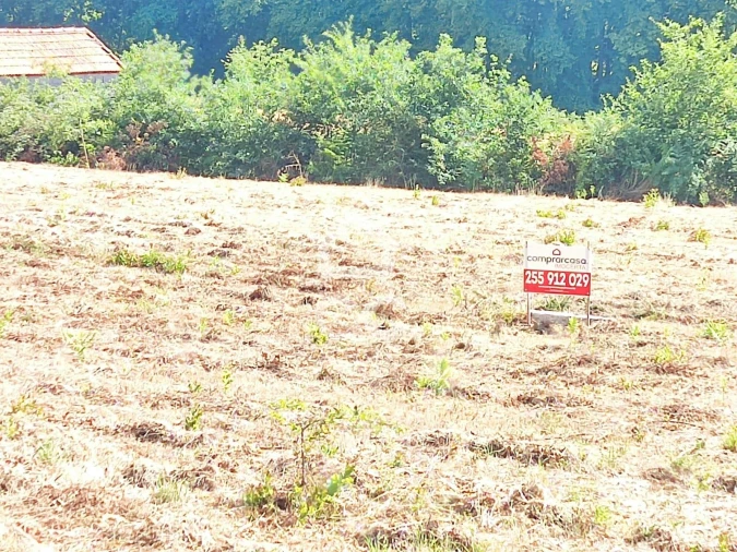 Terreno para Venda em Bustelo Foto 20