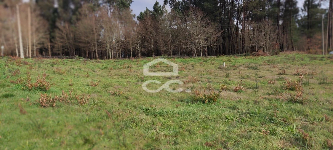 Terreno para Venda em Bustelo Foto 8