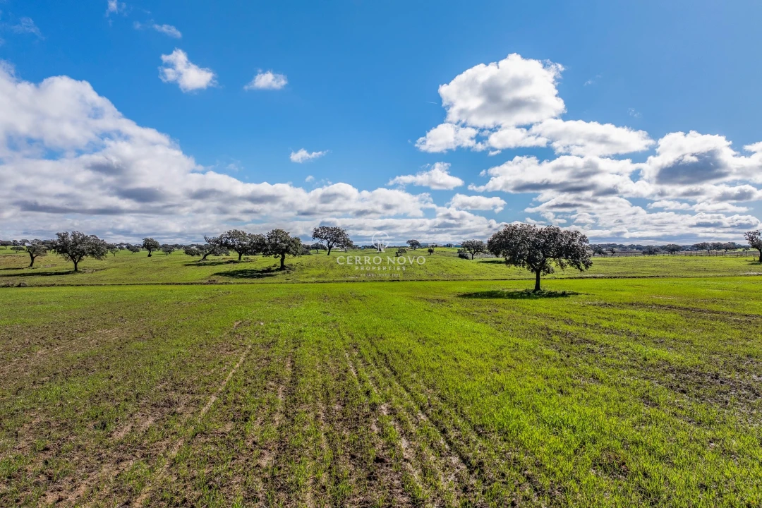 Quinta T3 para Venda em Ourique Foto 31