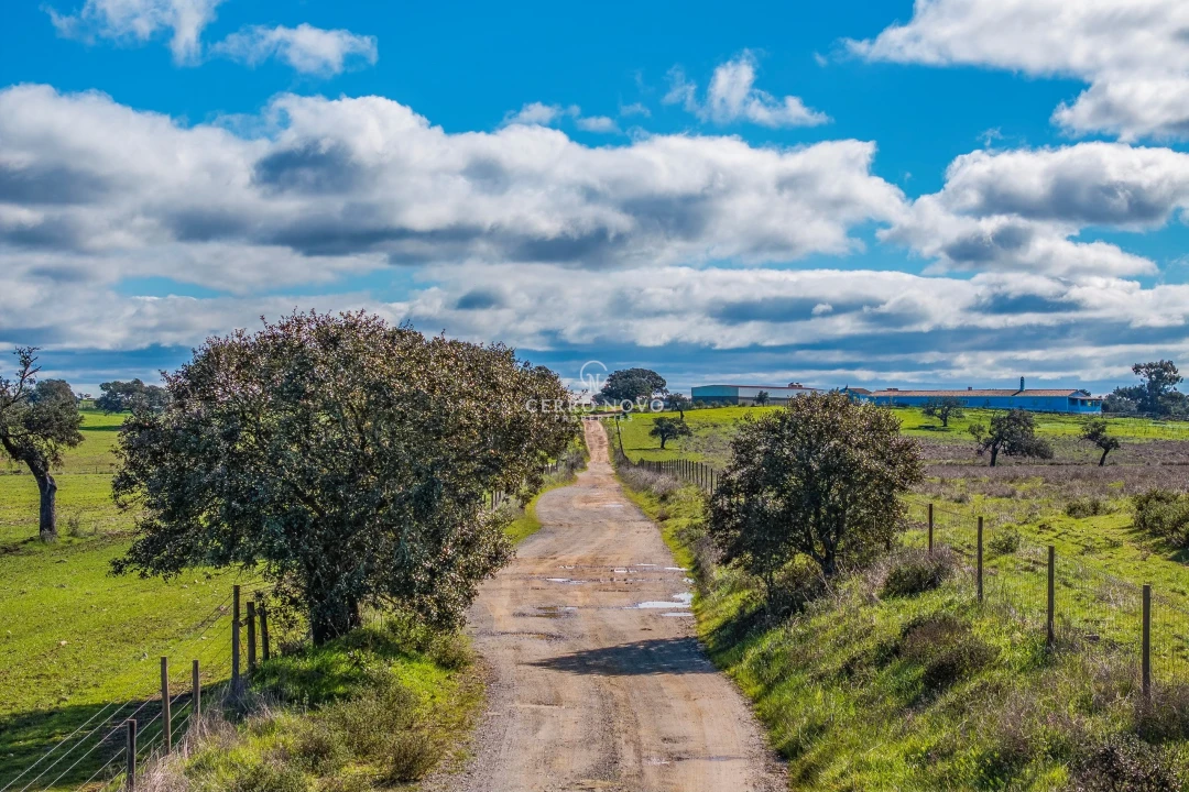 Quinta T3 para Venda em Ourique Foto 32