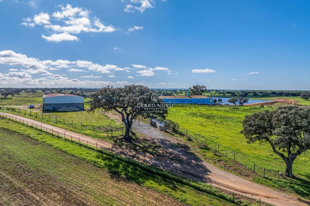 Quinta T3 para Venda em Ourique Foto 34