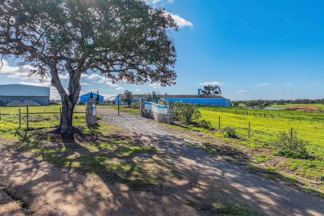 Quinta T3 para Venda em Ourique Foto 9