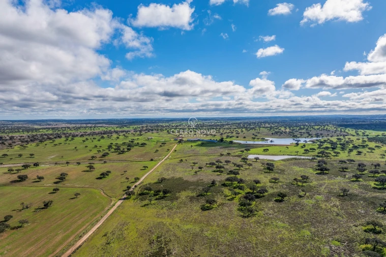 Quinta T3 para Venda em Ourique Foto 22