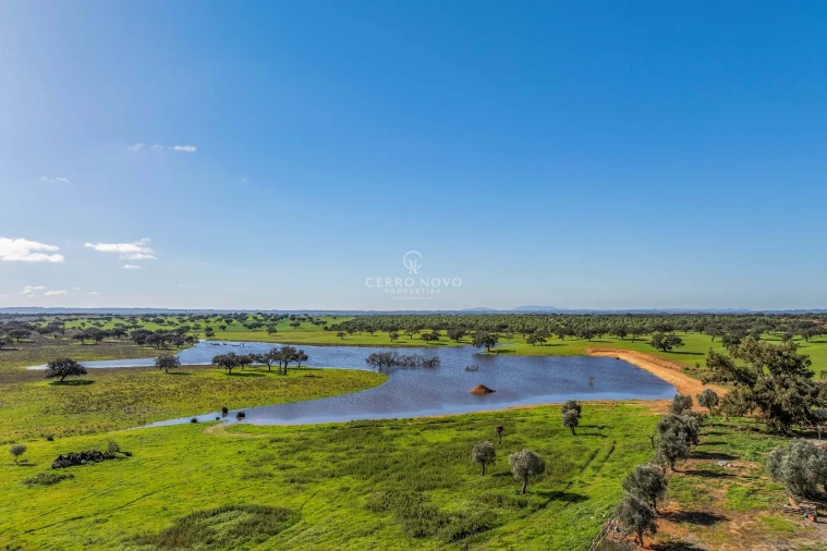 Quinta T3 para Venda em Ourique Foto 35
