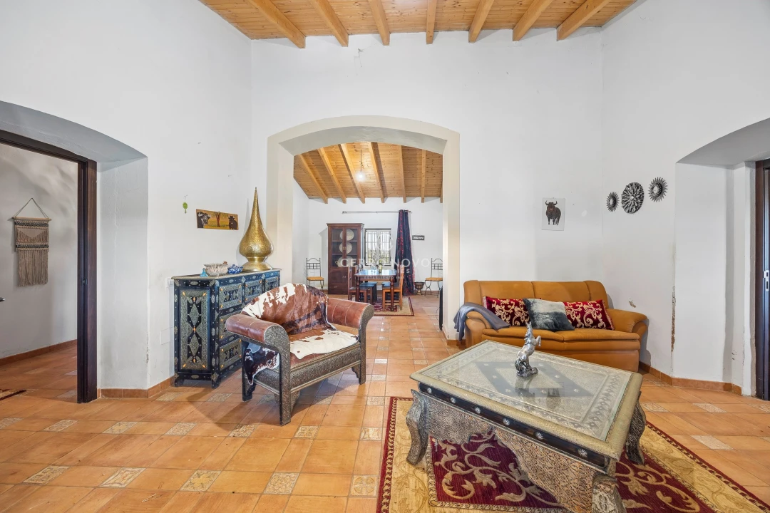 Quinta T3 para Venda em Ourique Foto 19