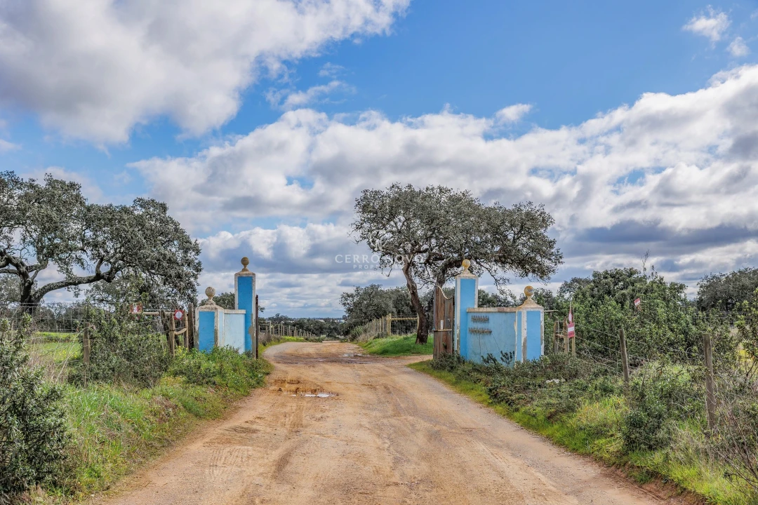 Quinta T3 para Venda em Ourique Foto 7