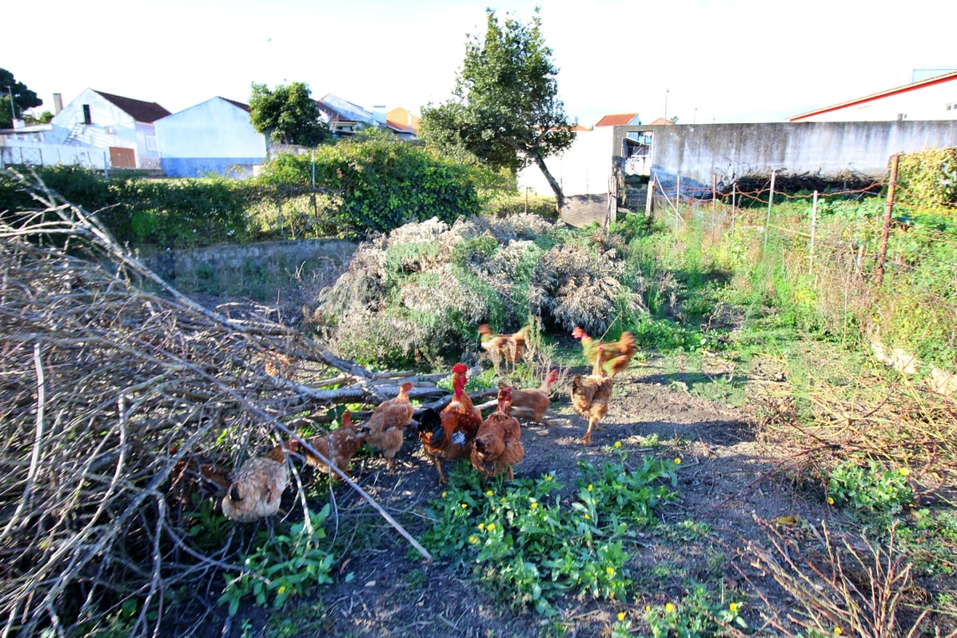 Moradia T2 para Venda em Pontevel Foto 35