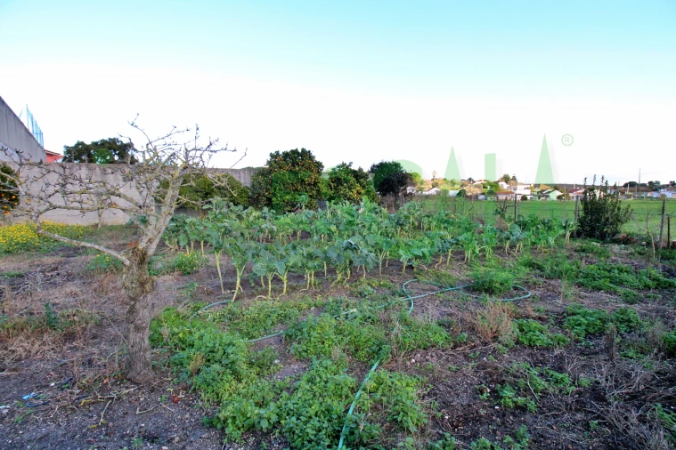 Moradia T2 para Venda em Pontevel Foto 30