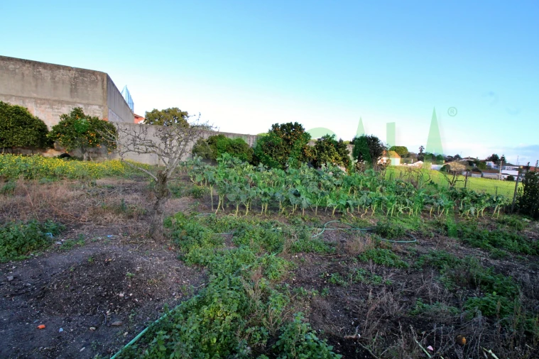 Moradia T2 para Venda em Pontevel Foto 23