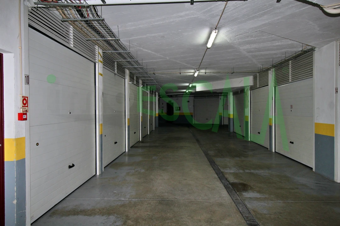 Negócio para Venda em Cartaxo e Vale da Pinta Foto 54