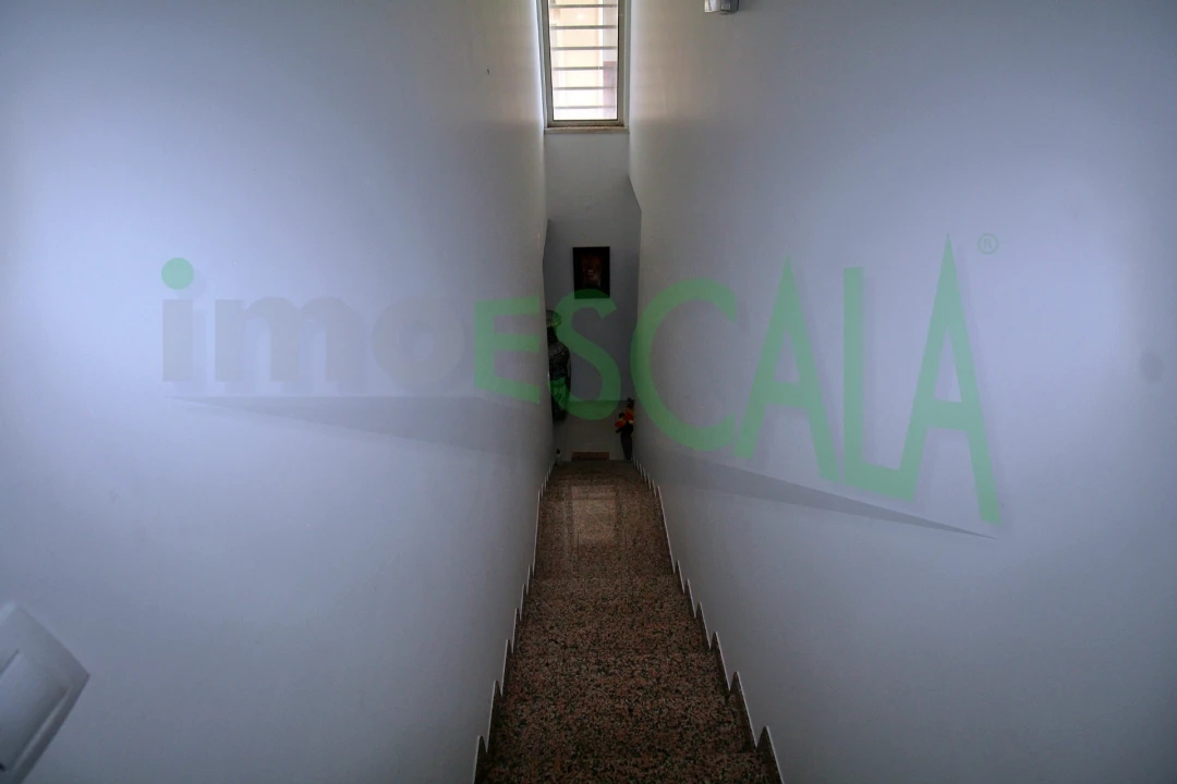 Negócio para Venda em Cartaxo e Vale da Pinta Foto 36