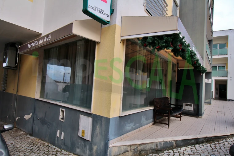 Negócio para Venda em Cartaxo e Vale da Pinta Foto 49