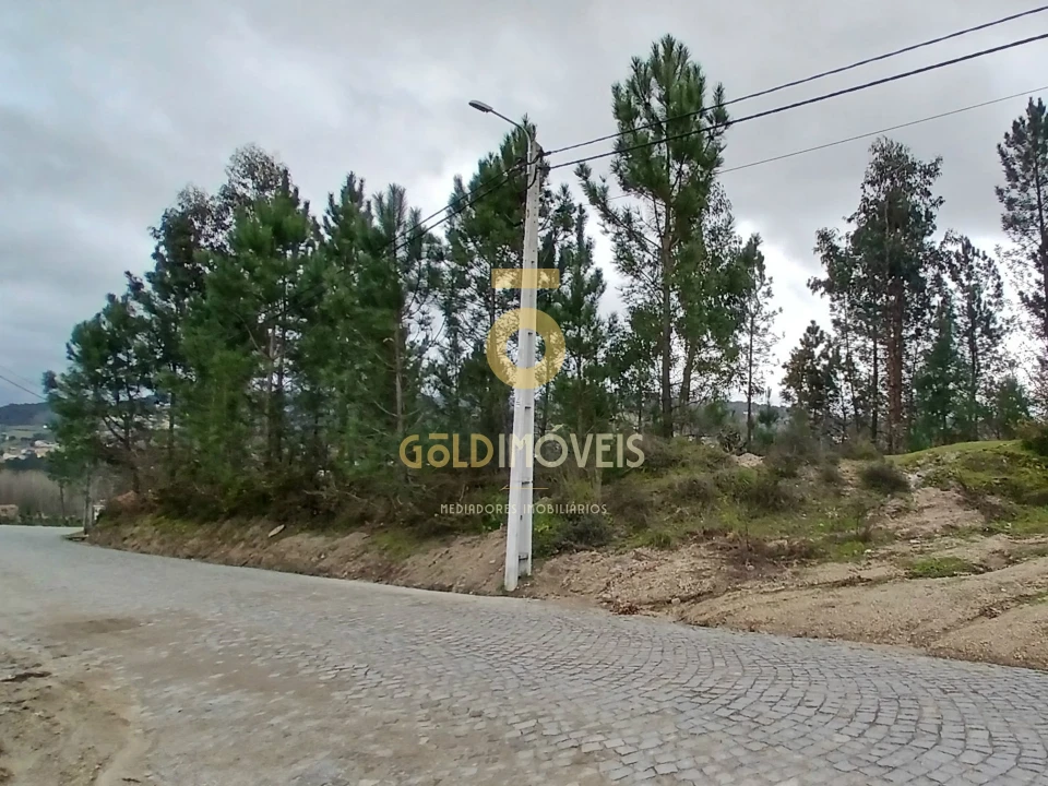 Terreno Comércio / Armazém para Venda em Constance Foto 1