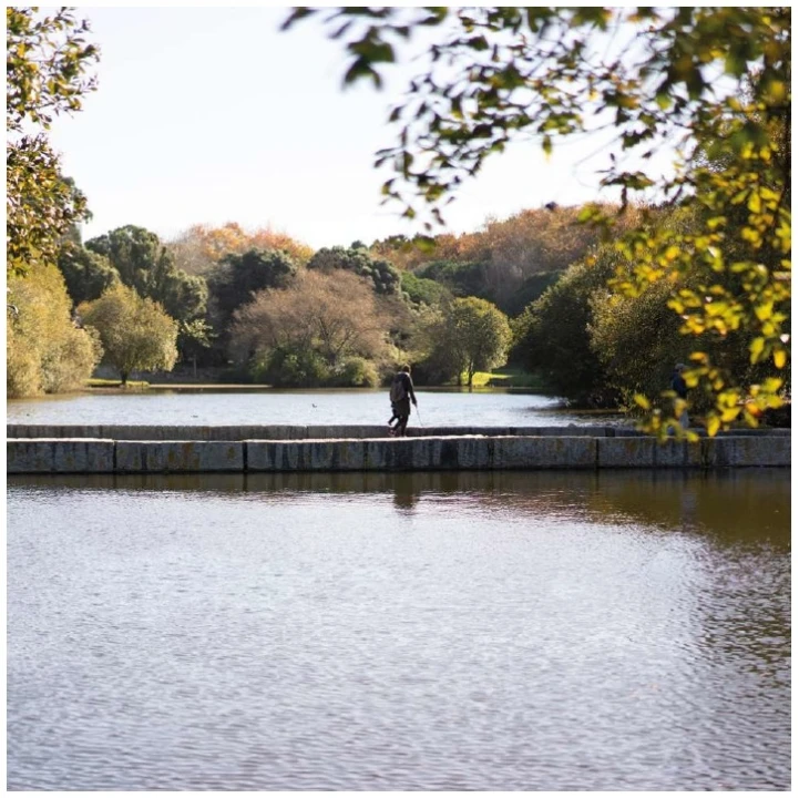 Moradia T4 para Venda em Aldoar, Foz do Douro e Nevogilde Foto 19