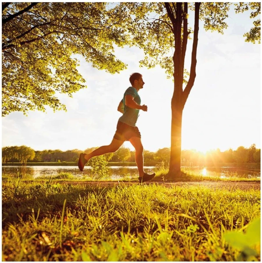 Moradia T4 para Venda em Aldoar, Foz do Douro e Nevogilde Foto 17