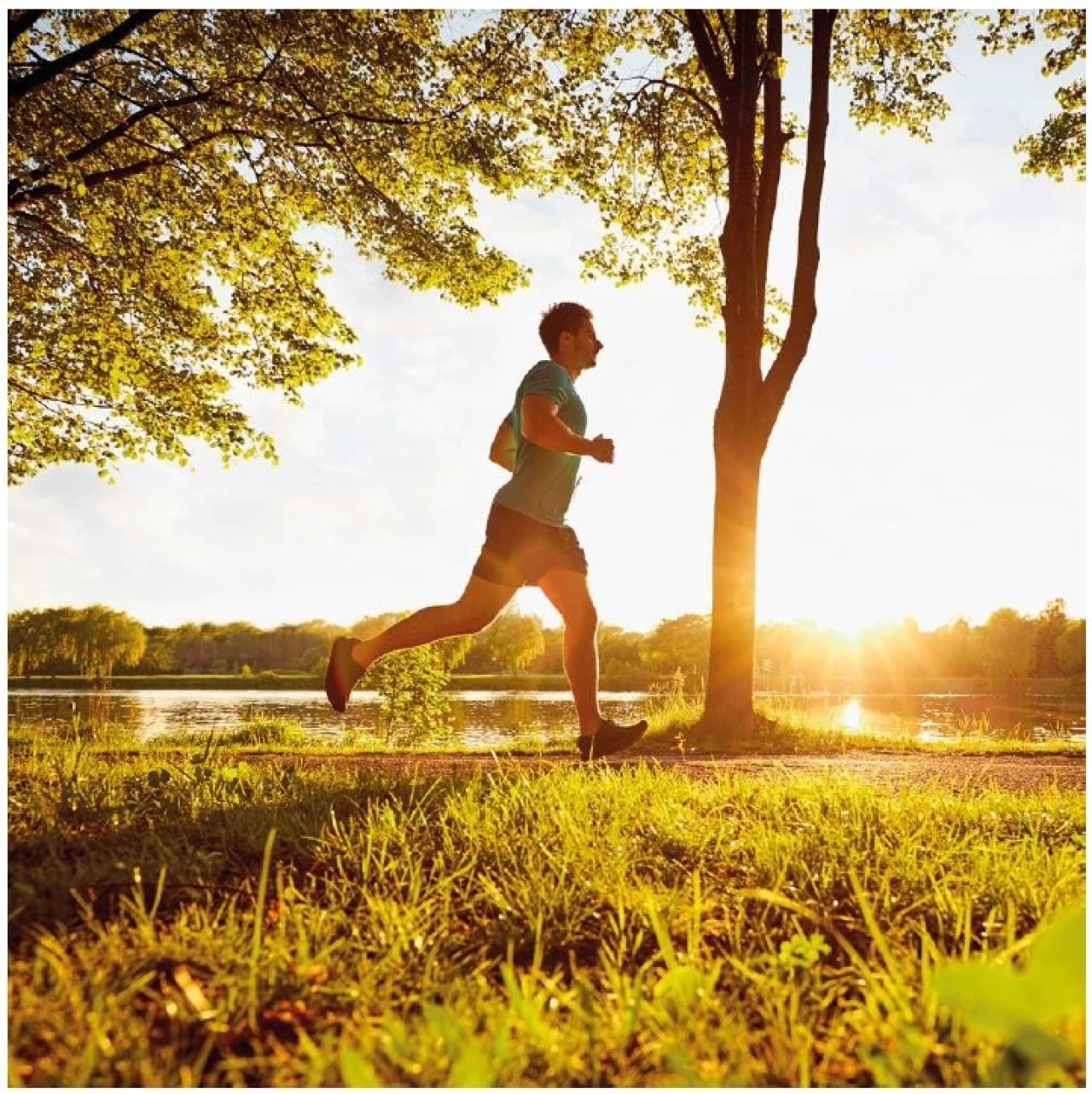 Moradia T4 para Venda em Aldoar, Foz do Douro e Nevogilde Foto 21