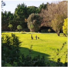 Moradia T4 para Venda em Aldoar, Foz do Douro e Nevogilde