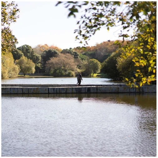 Moradia T4 para Venda em Aldoar, Foz do Douro e Nevogilde Foto 23