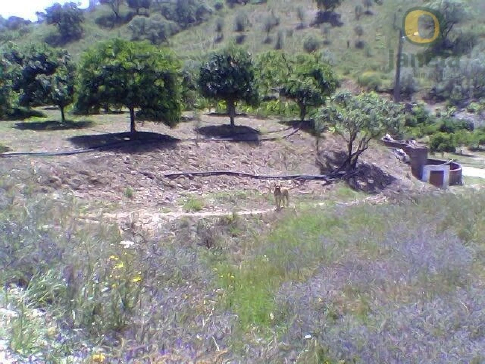 Terreno Misto para Venda em São Bartolomeu de Messines Foto 6