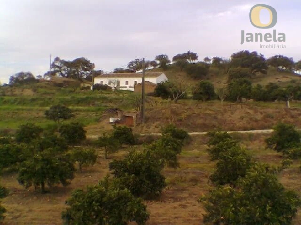Terreno Misto para Venda em São Bartolomeu de Messines Foto 7