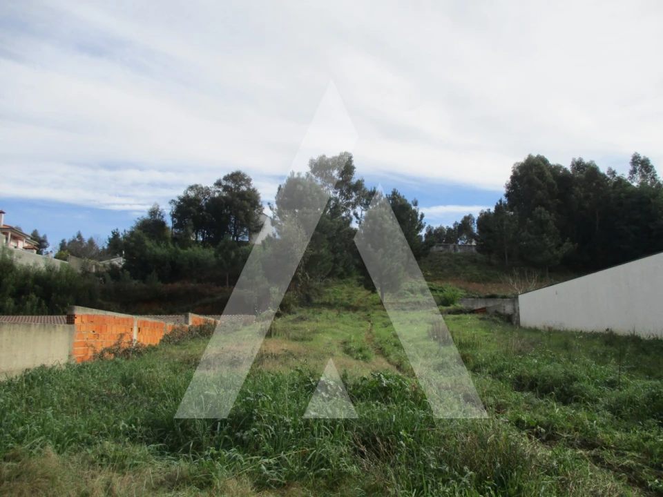 Terreno para Venda em Avelãs de Caminho Foto 3