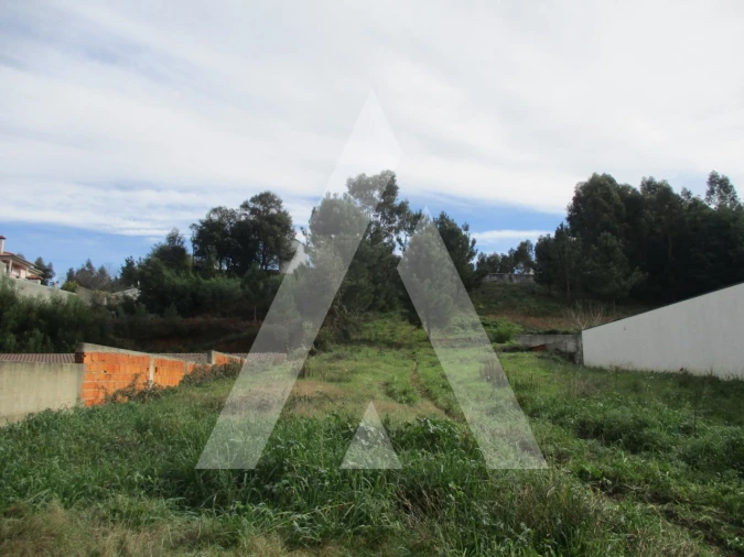 Terreno para Venda em Avelãs de Caminho Foto 3