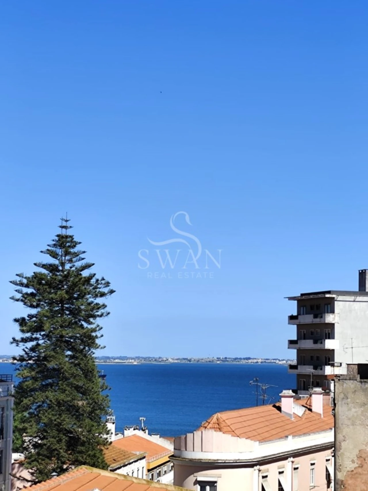 Apartamento T2 para Venda em São Vicente Foto 11