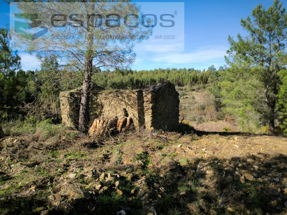 Quinta para Venda em Sarnadas de Rodão Foto 3
