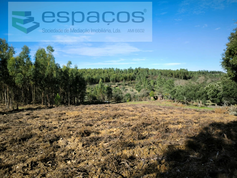 Quinta para Venda em Sarnadas de Rodão Foto 7