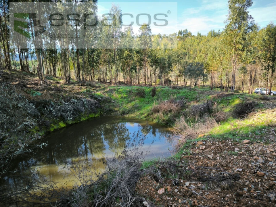 Quinta para Venda em Sarnadas de Rodão Foto 9