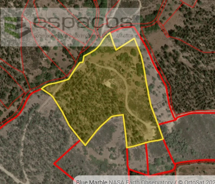 Quinta para Venda em Sarnadas de Rodão Foto 10