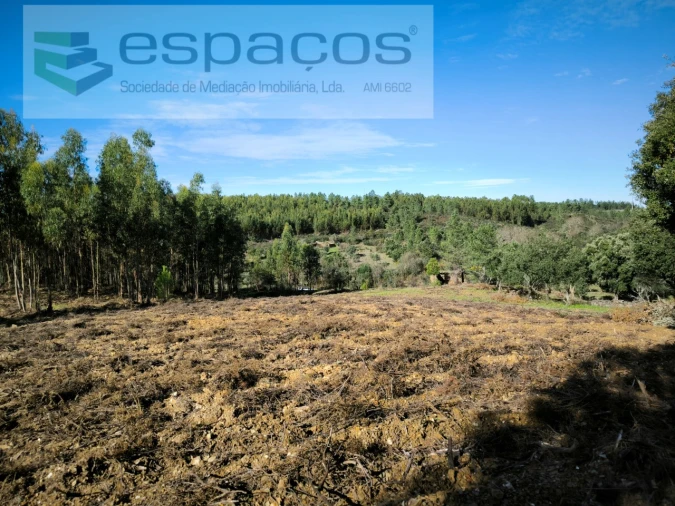 Quinta para Venda em Sarnadas de Rodão Foto 7