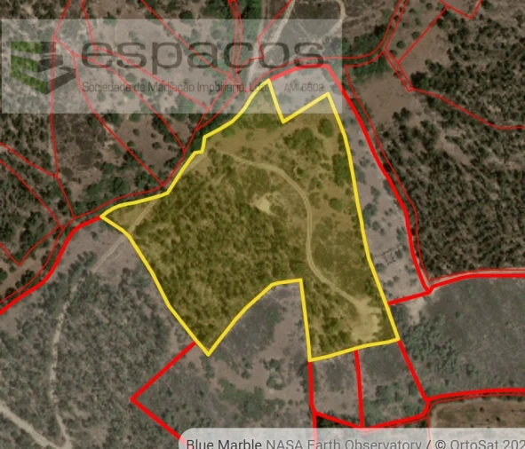 Quinta para Venda em Sarnadas de Rodão Foto 10