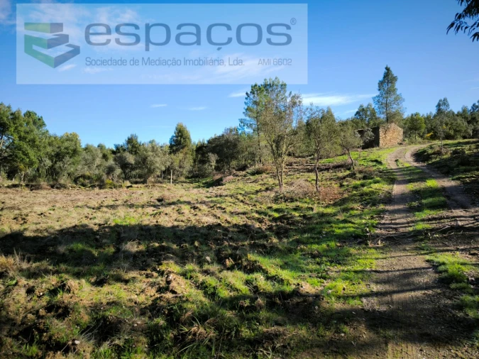 Quinta para Venda em Sarnadas de Rodão