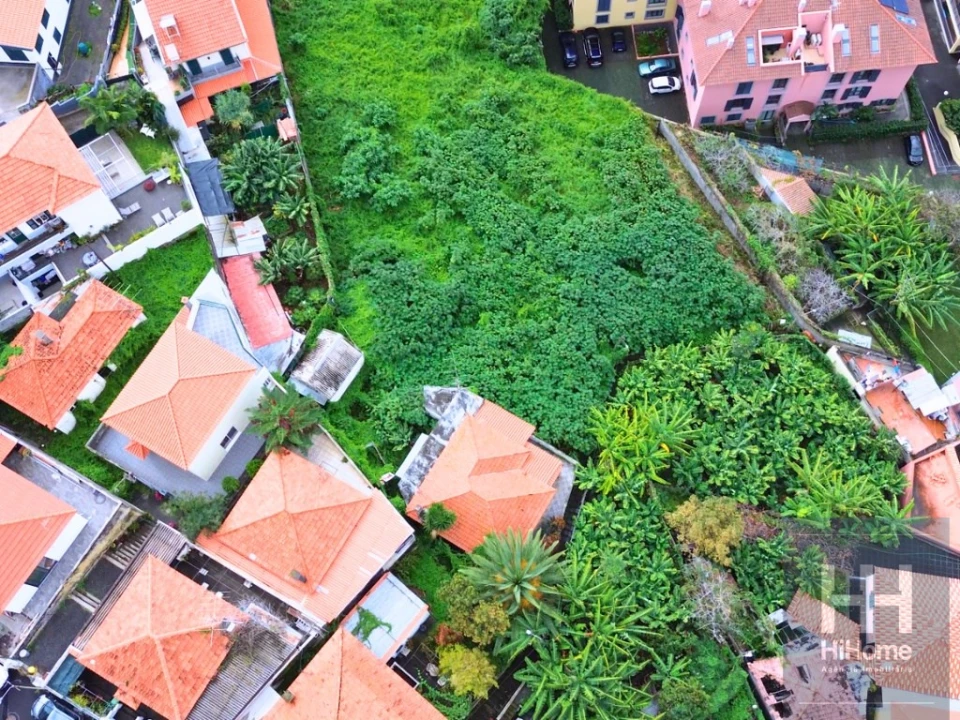 Terreno para Venda em Funchal (Santa Luzia) Foto 10