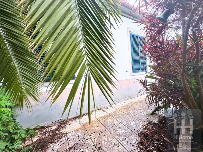 Terreno para Venda em Funchal (Santa Luzia) Foto 16