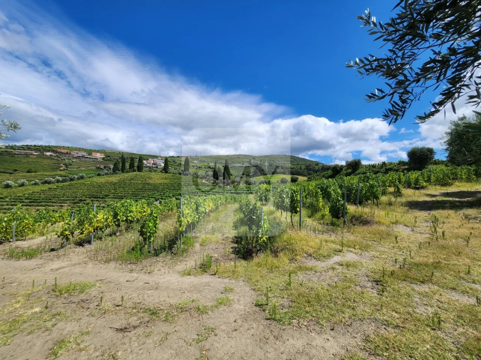 Quinta para Venda em Cambres Foto 9