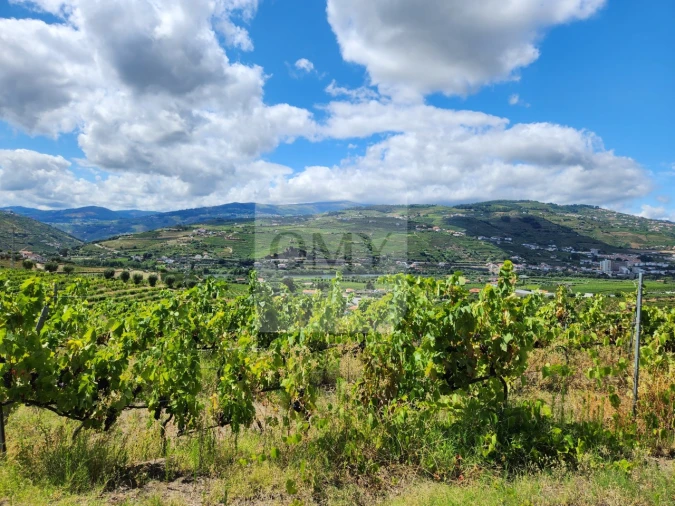 Quinta para Venda em Cambres Foto 3